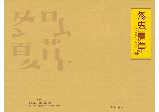 &#112;&#112;&#30005;&#23376;&#40;&#20013;&#22269;&#21306;&#41;&#23448;&#26041;&#32593;&#31449;
