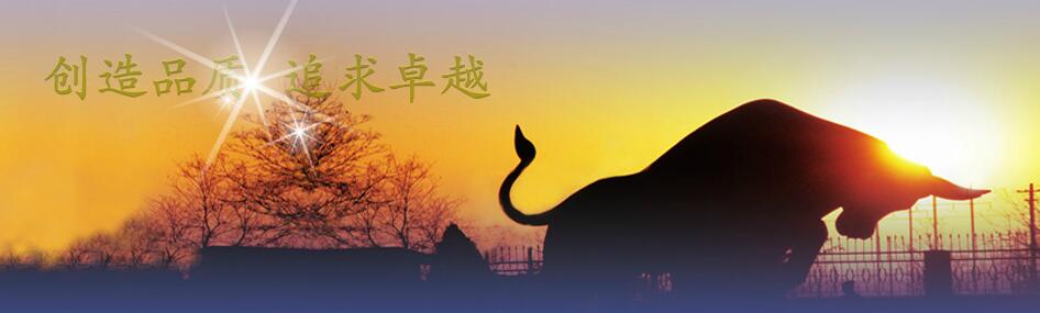 &#112;&#112;&#30005;&#23376;&#40;&#20013;&#22269;&#21306;&#41;&#23448;&#26041;&#32593;&#31449;