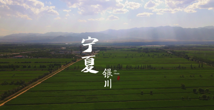 &#112;&#112;&#30005;&#23376;&#40;&#20013;&#22269;&#21306;&#41;&#23448;&#26041;&#32593;&#31449;